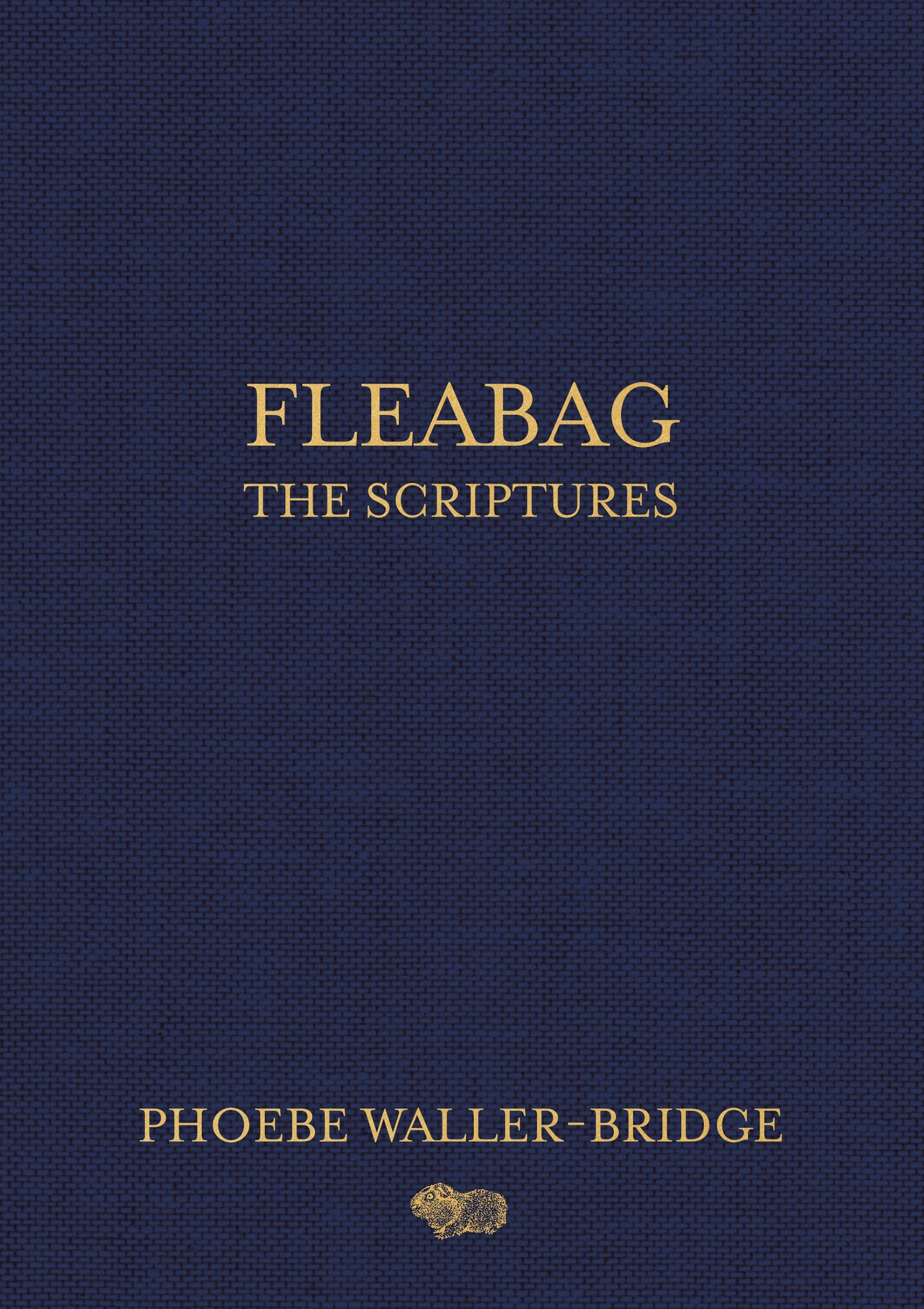 Fleabag: The Scriputres